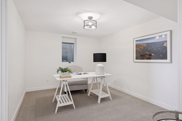 office featuring carpet floors