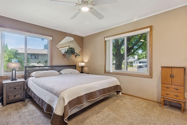 11027 Xylon Ave N, Champlin, MN 55316 - photo 22