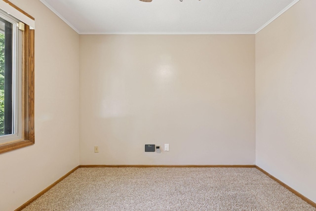 11027 Xylon Ave N, Champlin, MN 55316 - photo 28