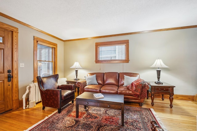 living room featuring ornamental molding, plenty of natural light, and light wood-type flooring