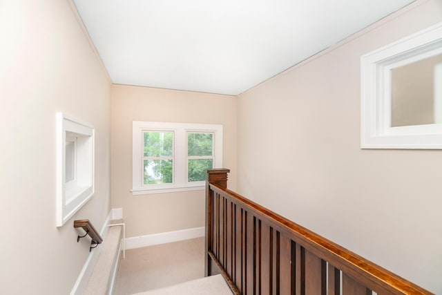 2328 3rd St, Duluth, MN 55812 - stairs with carpet flooring and baseboards