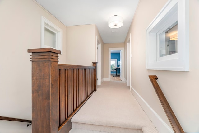 2328 3rd St, Duluth, MN 55812 - hallway with light carpet and an upstairs landing
