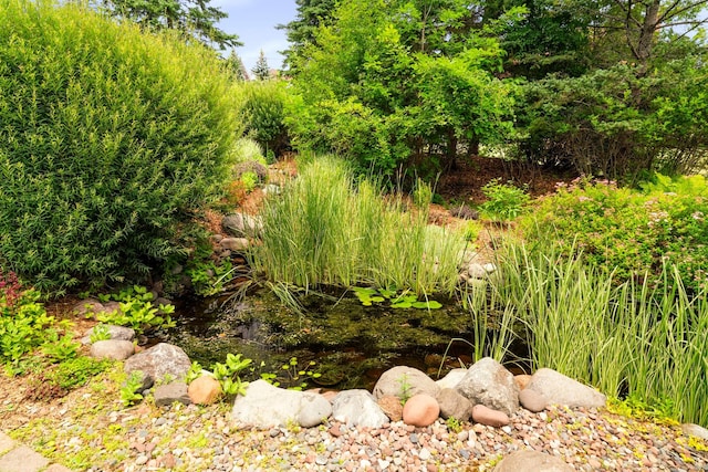 2328 3rd St, Duluth, MN 55812 - view of undeveloped land