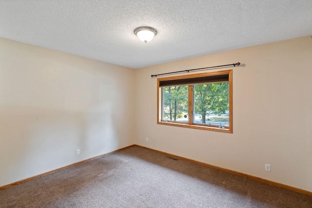 empty room featuring carpet and a textured ceiling