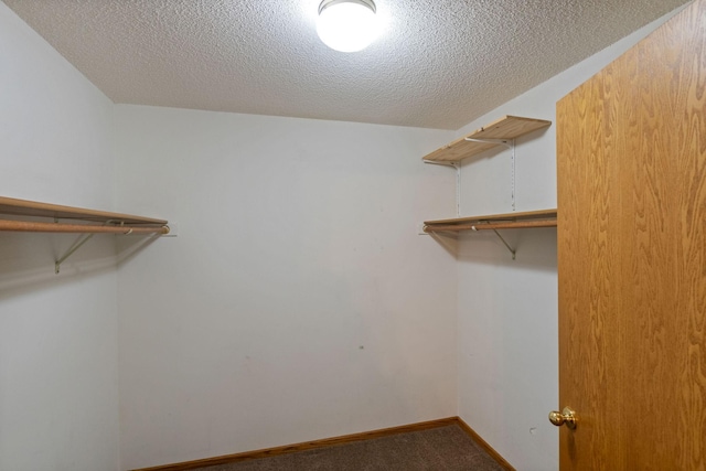 walk in closet featuring carpet flooring