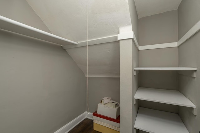 spacious closet featuring dark hardwood / wood-style flooring and lofted ceiling