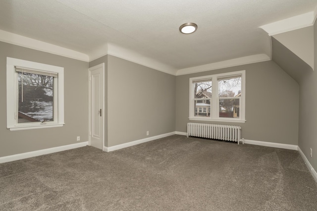 additional living space featuring carpet, a textured ceiling, vaulted ceiling, and radiator