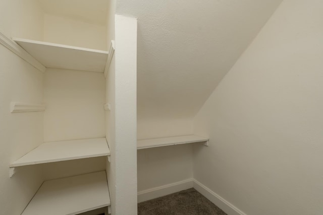 spacious closet featuring carpet flooring