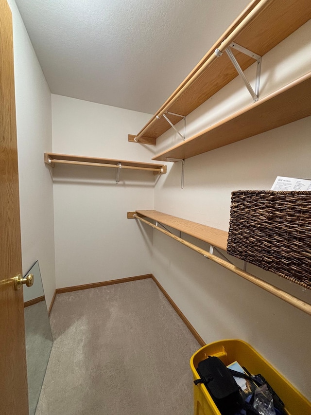 10 Townhouse Rd, Morris, MN 56267 - spacious closet with carpet floors