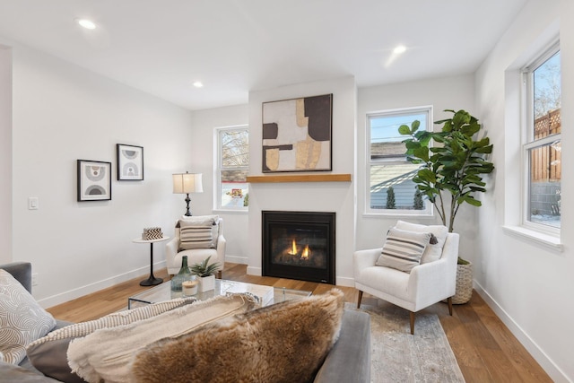 living room featuring light hardwood / wood-style floors and a wealth of natural light