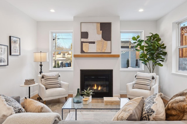 living room with hardwood / wood-style floors and a healthy amount of sunlight