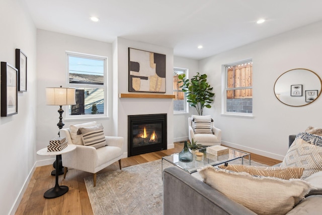 living room featuring light hardwood / wood-style floors