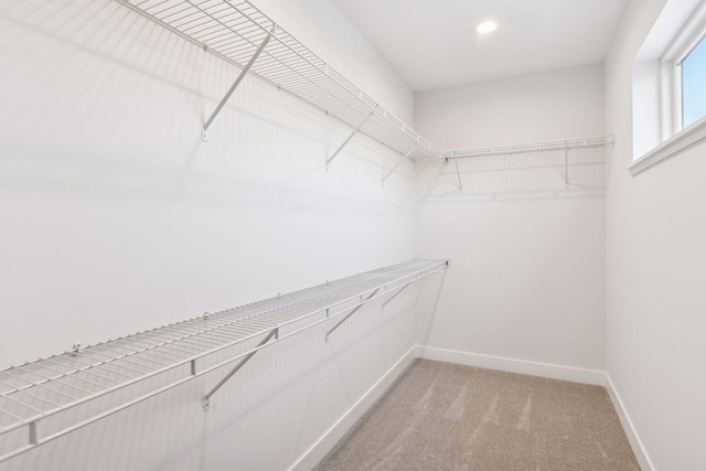 spacious closet featuring carpet flooring