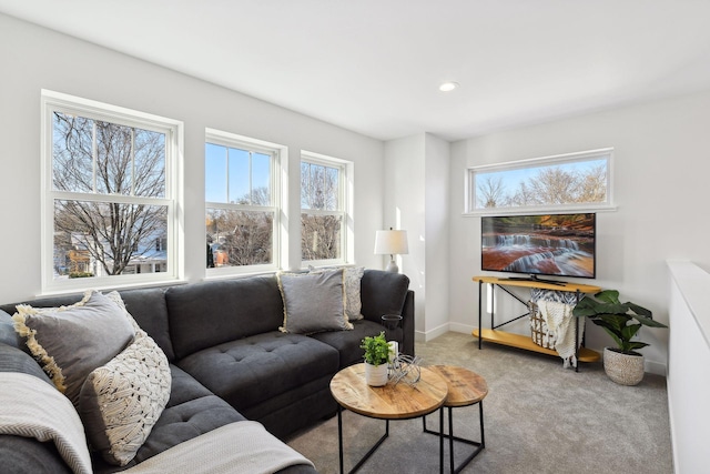 living room with carpet floors