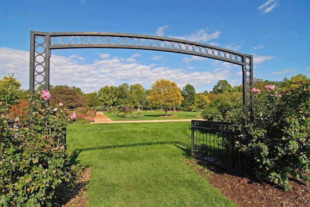 view of home's community with a lawn