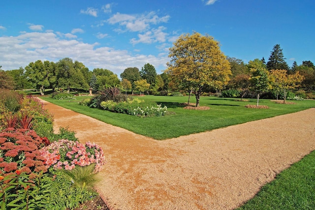 view of property's community featuring a yard