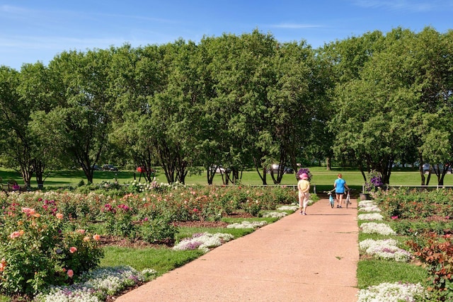 view of community featuring a lawn