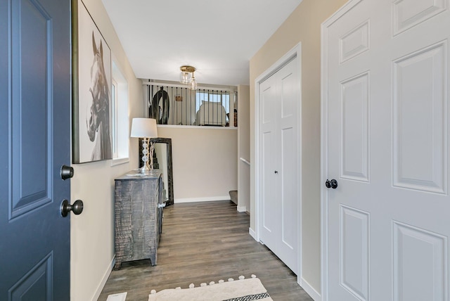 hall featuring dark wood-type flooring