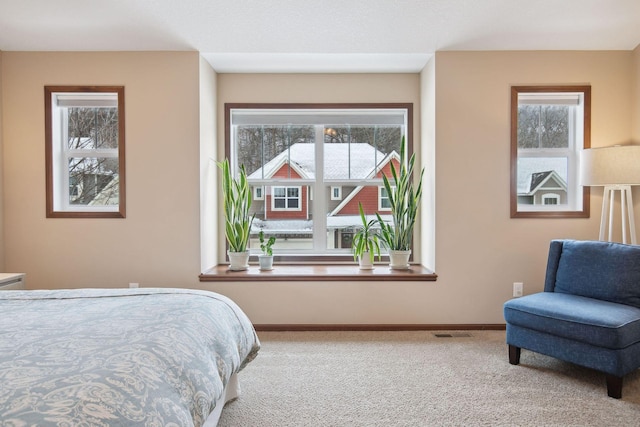 bedroom with multiple windows and carpet floors