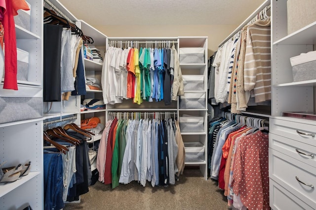 spacious closet with dark carpet