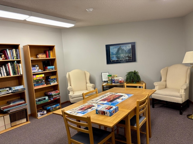 interior space featuring carpet and a textured ceiling