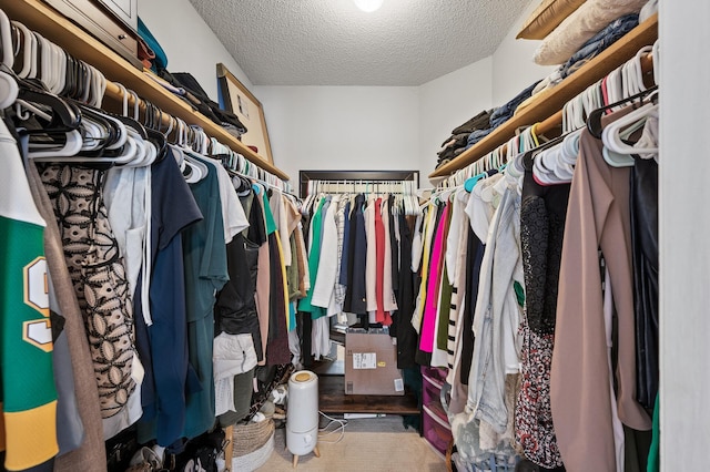 view of walk in closet