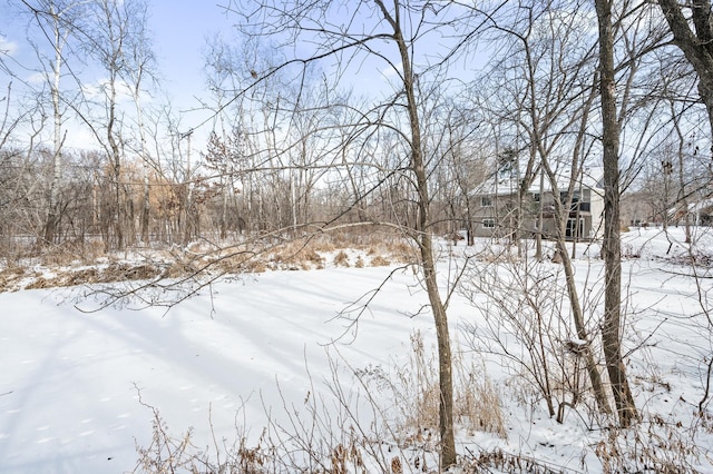 view of yard layered in snow