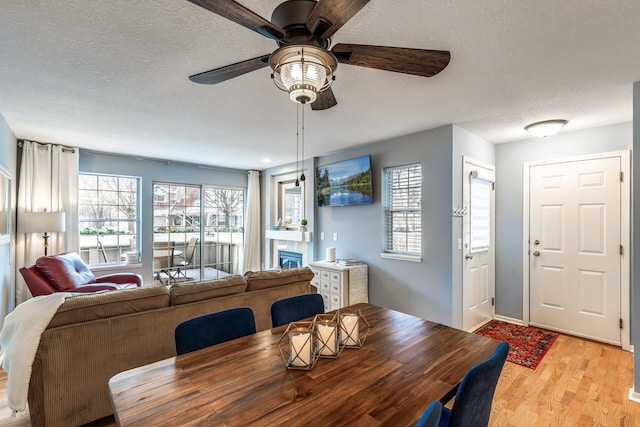 dining area with ceiling fan, light hardwood / wood-style floors, and a textured ceiling