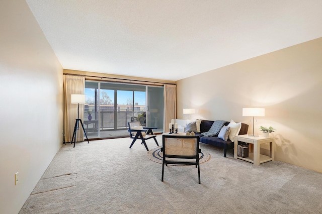 view of carpeted living area