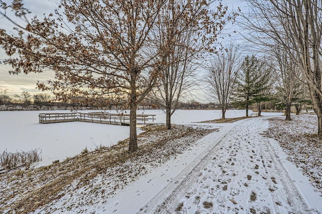 view of snowy yard