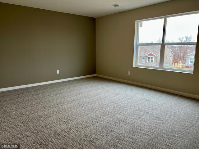 spare room with carpet flooring