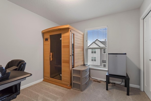 office area with light colored carpet and a textured ceiling