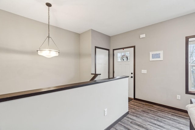 foyer entrance with hardwood / wood-style floors