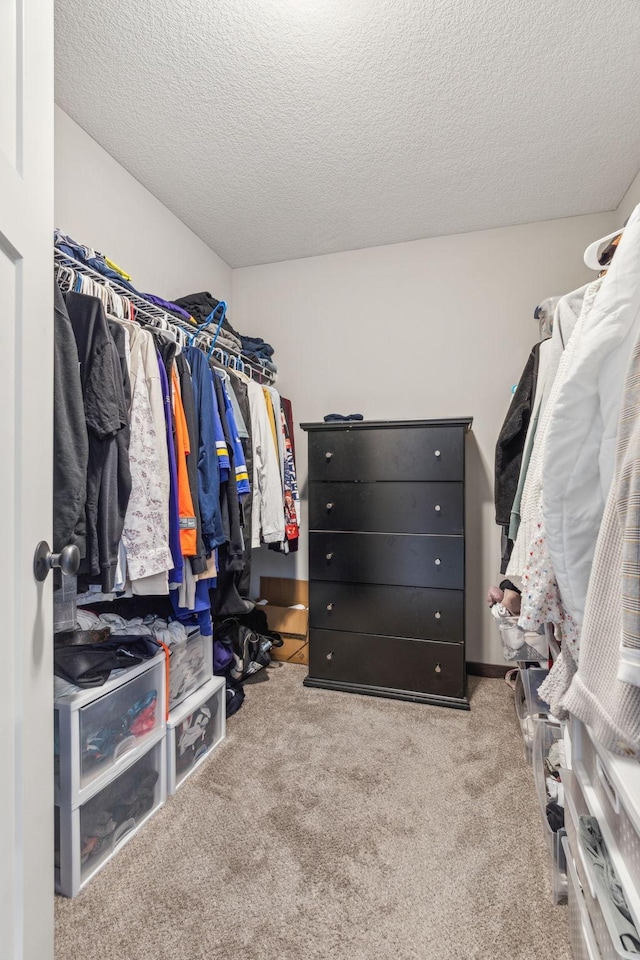 walk in closet with light colored carpet