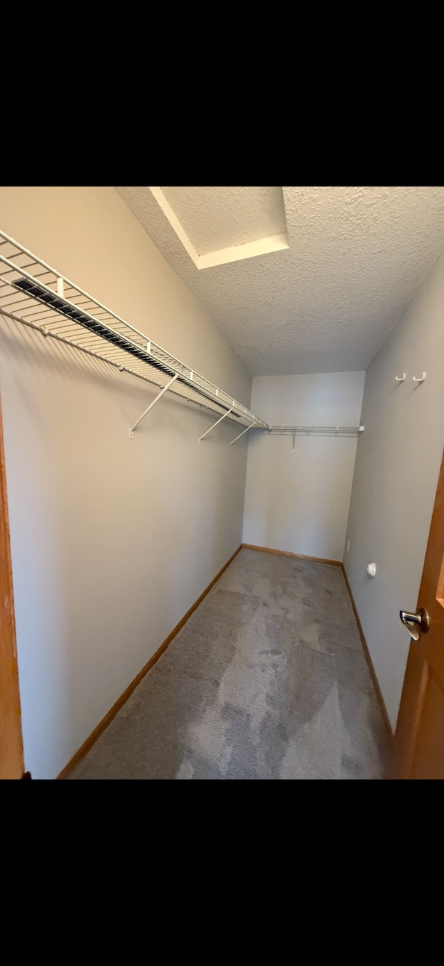 spacious closet featuring light carpet