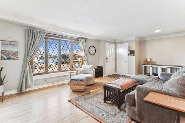 living room with light hardwood / wood-style flooring