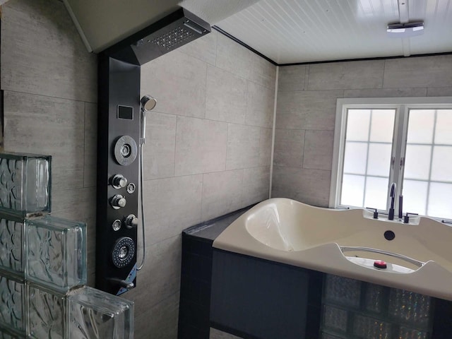 436 6th Ave SW, Cambridge, MN 55008 - full bath featuring a bath