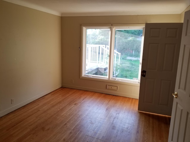 436 6th Ave SW, Cambridge, MN 55008 - unfurnished room featuring light wood-style flooring and baseboards