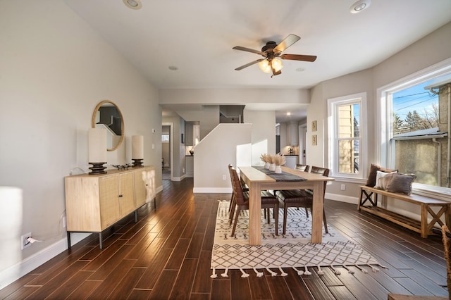 dining area featuring ceiling fan and dark hardwood / wood-style flooring