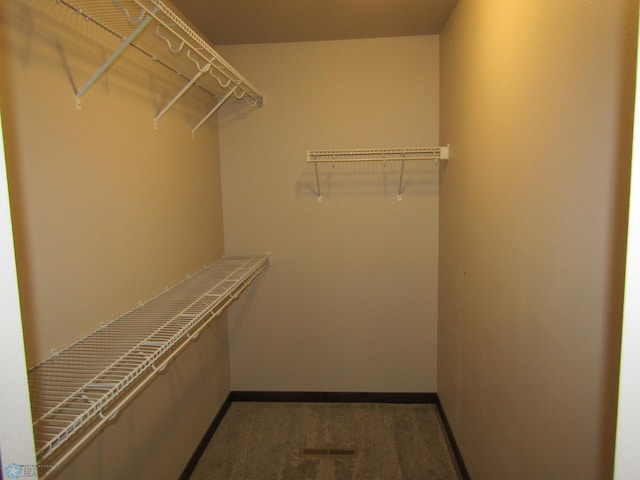 walk in closet featuring carpet flooring