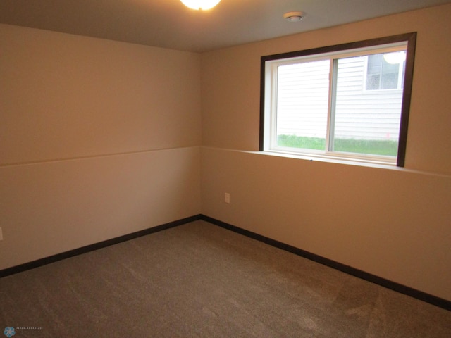 spare room featuring carpet