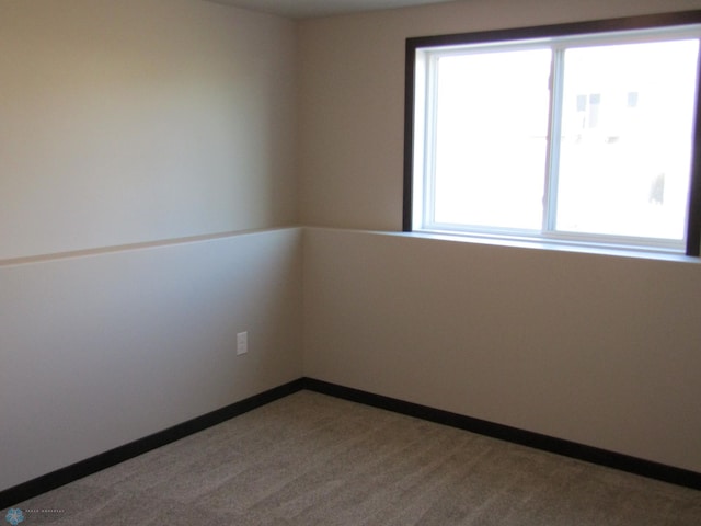 carpeted empty room with a healthy amount of sunlight