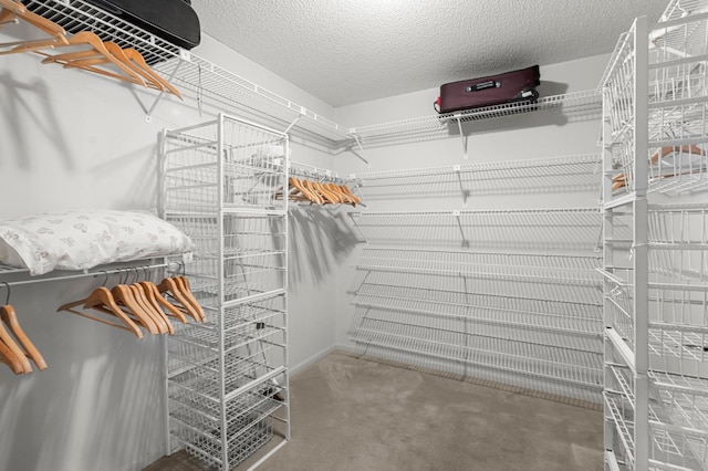 walk in closet featuring carpet floors