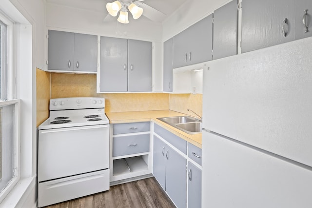 kitchen featuring ceiling fan, sink, dark hardwood / wood-style floors, and white appliances