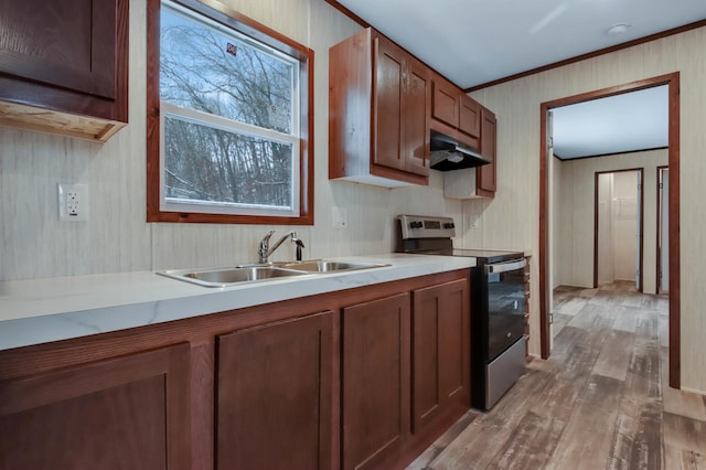 kitchen featuring light hardwood / wood-style floors, stainless steel range with electric stovetop, and sink