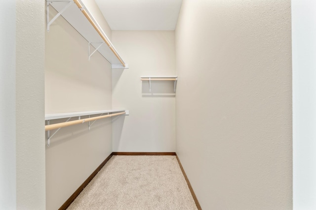 walk in closet featuring light carpet