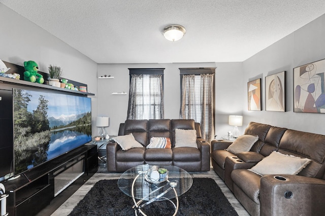 living room featuring hardwood / wood-style floors and a textured ceiling