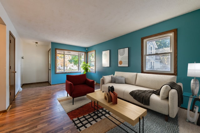 living room featuring dark hardwood / wood-style flooring