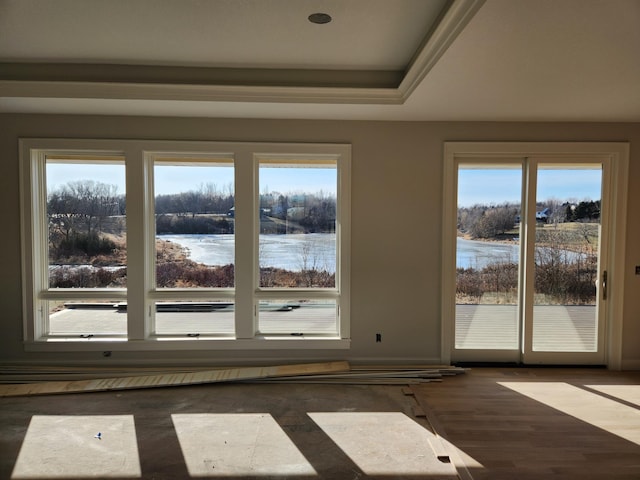 doorway with a water view, a raised ceiling, and plenty of natural light