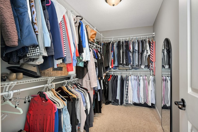 walk in closet featuring carpet floors